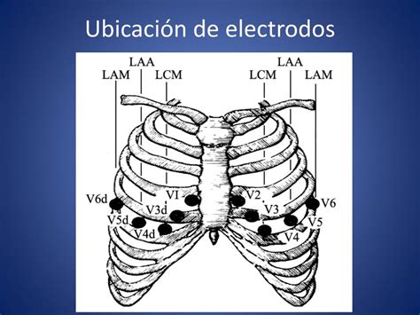 PPT Curso de Electrocardiografía Normal PowerPoint Presentation free