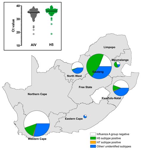 Viruses Free Full Text Outbreaks Of H5n1 High Pathogenicity Avian Influenza In South Africa