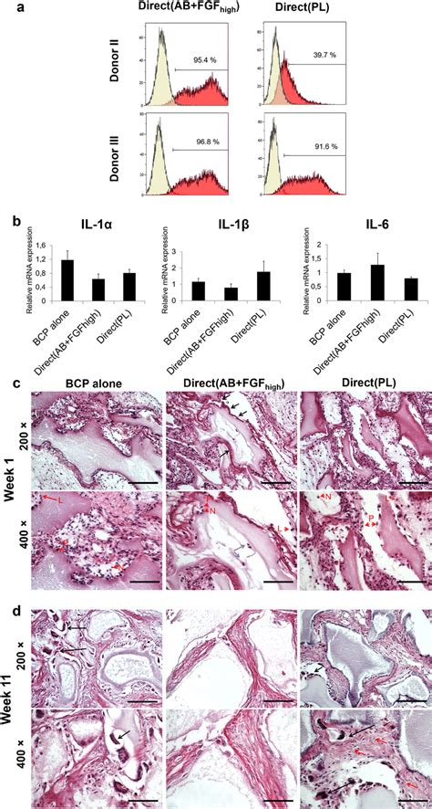 In Vivo Inflammatory And Host Responses A Representative Histograms