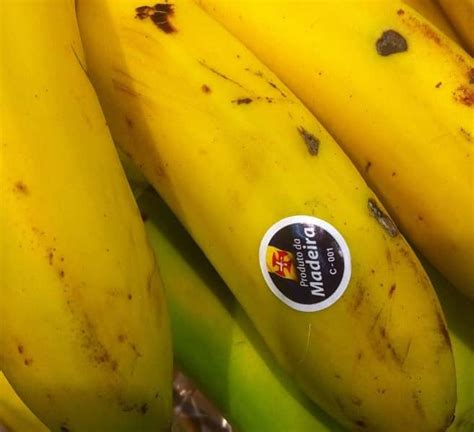 Produ O De Banana Biol Gica Da Madeira Cresce Agrotec Pt