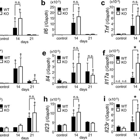 Comparison Of Mrna Expression Levels Of Pro Inflammatory Cytokines In