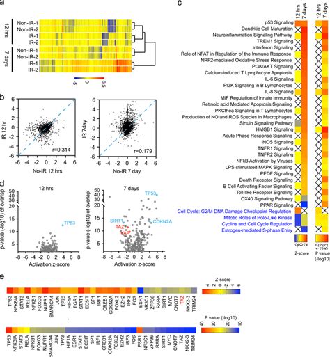 Differential Gene Expression Associates With The Short Term And The Download Scientific Diagram