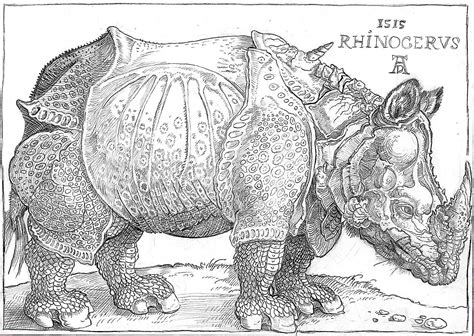 Museum Study: Albrecht Durer's Rhinoceros by Fridgefanatic on DeviantArt