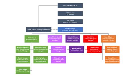 Management Organization Chart City Of Dallas Office Of Arts And Culture