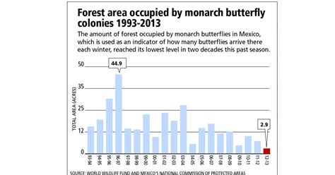 Decrease in monarch butterfly population raises concern