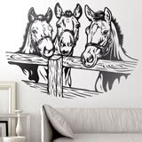 Sticker Mural Trois Chevaux Webstickersmuraux