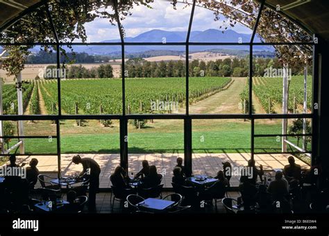 Diners Domaine Chandon Winery, Victoria, Australia Stock Photo - Alamy