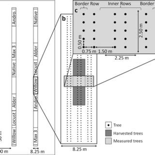 Experimental design of the agroforestry systems, illustrated by the ...