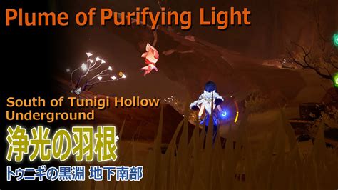 原神浄光の羽根 トゥニギの黒淵地下 南部 47378 Plume of Purifying Light South