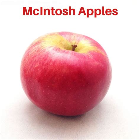 McIntosh Apples - Whistling Well Farm