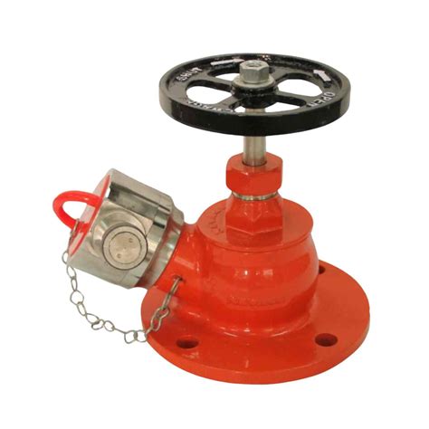 Buy Newage Ss Single Outlet Fire Hydrant Valve Type A Isi