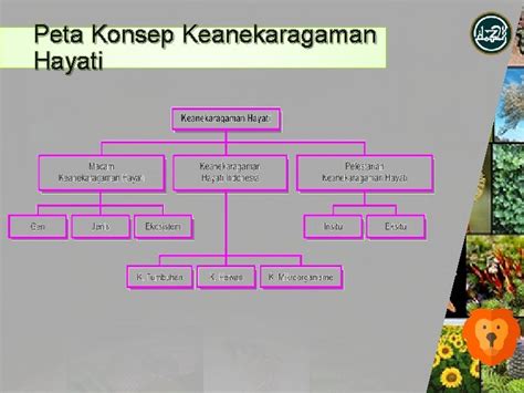 Peta Konsep Keanekaragaman Hayati Koleksi Gambar