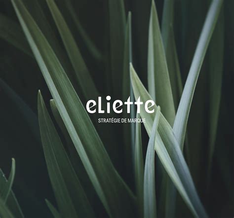 Profile and Background of Eliette Louis-Paul 23