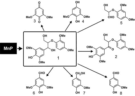 Products Obtained From The Oxidation Of The Phenolic Lignin Model Dimer