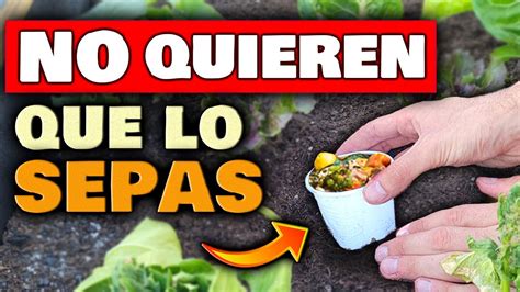 El Abono Casero Que Debes Saber Hacer Fertilizante Org Nico Para