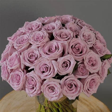 Buy Purple Roses in Vase - Bunch of Purple Roses