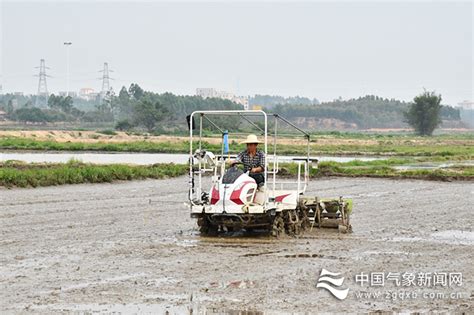 赶春光 忙育秧——气象部门全力打好华南早稻生产第一仗 中国气象局政府门户网站