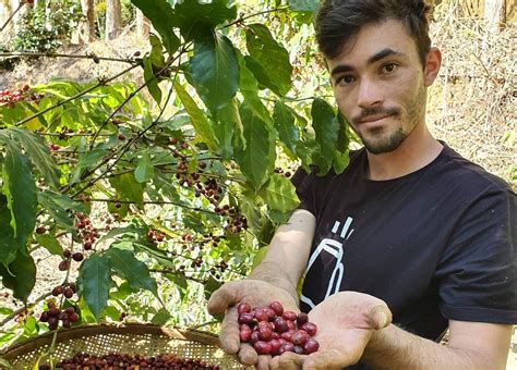 Portal Capara Caf Premiado Das Matas De Minas Ganha Edi O Especial