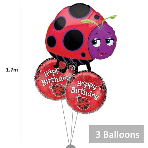 Ladybug Garden Helium Balloon Bouquet Party Wholesale