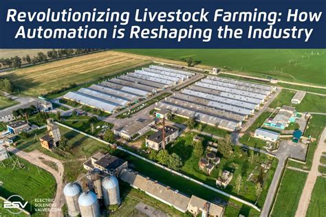 Revolutionizing Livestock Farming How Automation Is Reshaping The