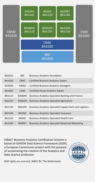 Business Analytics Certification Boost Your Skills With Iabac