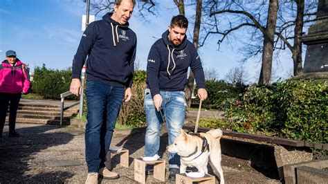 Hunde erschnüffeln Krebs und 5 weitere gute Nachrichten der NRZ