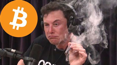 Elon Musk On Bitcoin Youtube