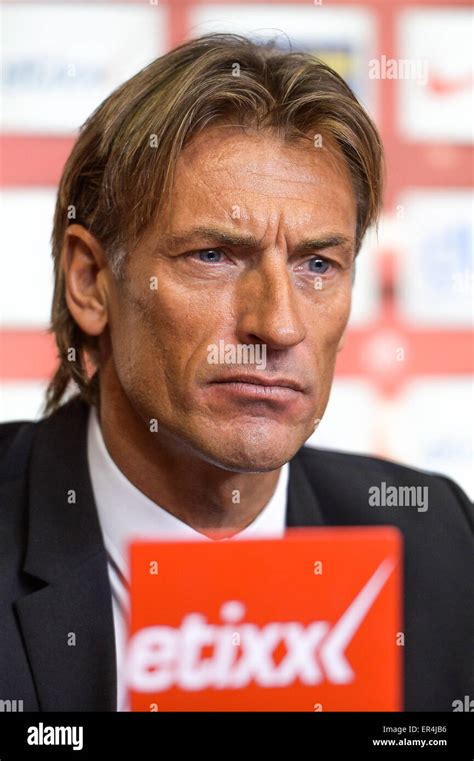 Herve Renard Conference De Presse Presentation Du