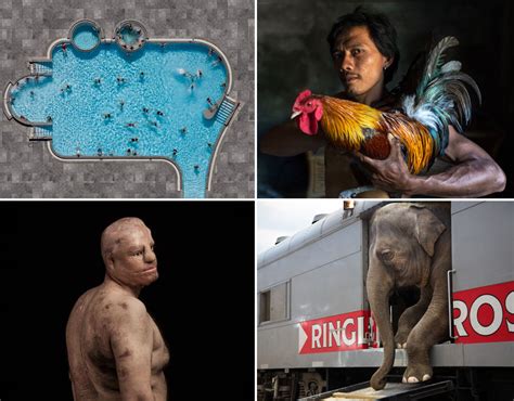 The Sony World Photography Awards 2016 Pictures Pics Uk