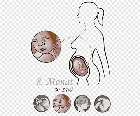 Month Pregnancy Week Academic Quarter Pre Labor Babys Face Hand Png