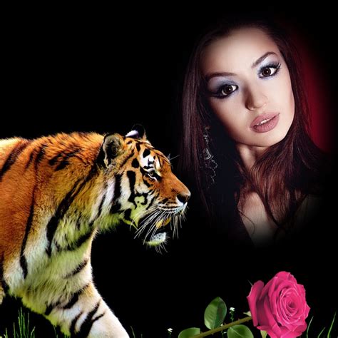 It Smichelle S Wildlife Frames Beautiful Tiger Wildlife Nature Tiger