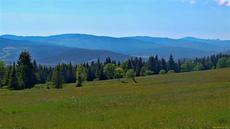 Narodni Park Sumava