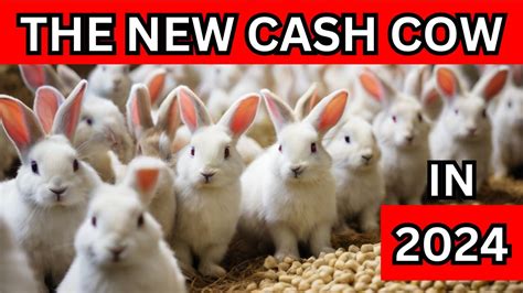 How To Start Rabbit Farming And Earn Millions Youtube