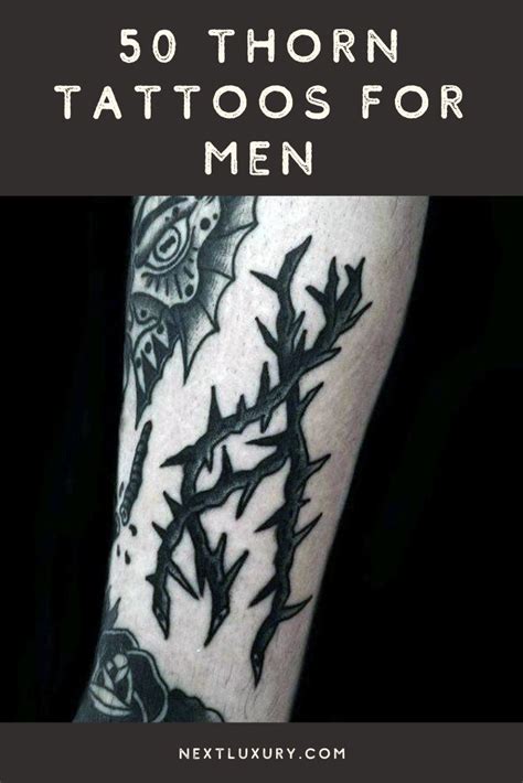 50 Stunning Thorn Tattoos For Men 2024 Inspiration Guide Thorn