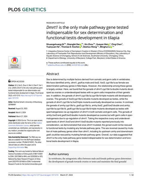 Pdf Dmrt Is The Only Male Pathway Gene Tested Indispensable For Sex