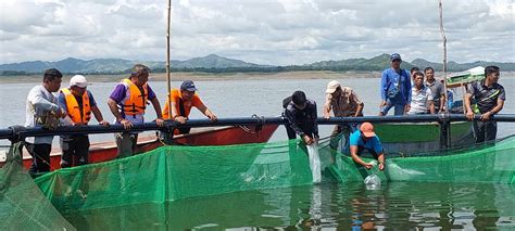 PIA BFAR Turns Over P3 8 Worth Of HDPE Cages To Ifugao Fisherfolk