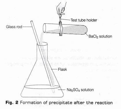 Cbse Class Science Lab Manual Types Of Reactions A Plus Topper