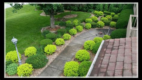 Pruning Spirea And Yew Bushes Hedge Trimming Time Lapse Youtube