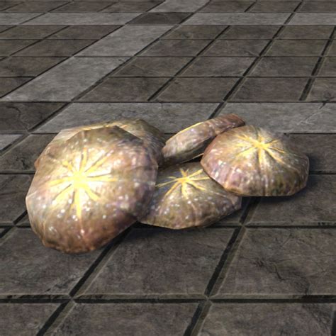 Online Fargrave Bread Loaves Round The Unofficial Elder Scrolls