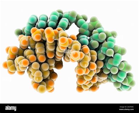 Biotin Binding Rna Ribonucleic Acid Molecular Model This Rna Molecule Is A Pseudoknot