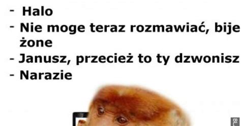 Halo nie mogę teraz rozmawiać memy gify i śmieszne obrazki facebook