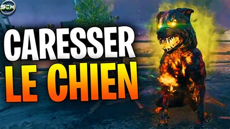 Comment Caressez Un Chien De L Enfer Zombie Mw Astuce Guide Troph E