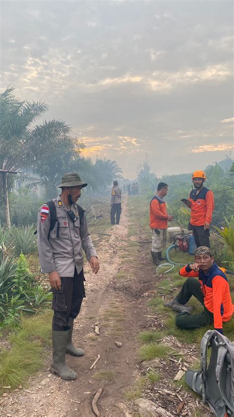 Karhutla Landa Desa Rasau Jaya Umum Kubu Raya Hektar Lahan Hangus