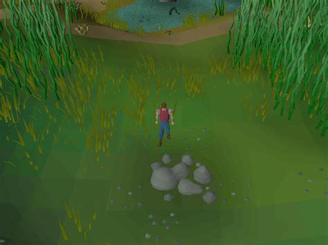 File:Hot cold clue - Haunted Mine.png - OSRS Wiki