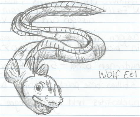 Wolf Eel By Arceusfish On Deviantart