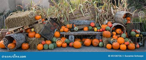 Pumpkin Fall Halloween Decoration Stock Photo - Image of halloween ...