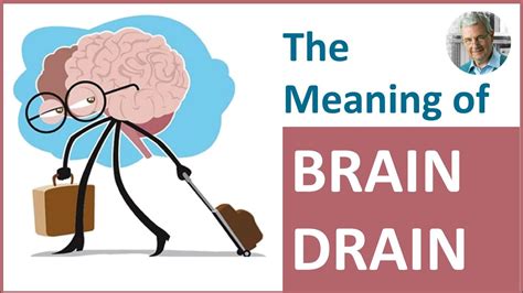 Brain Drain Definition Causes Effects And Examples 47 OFF