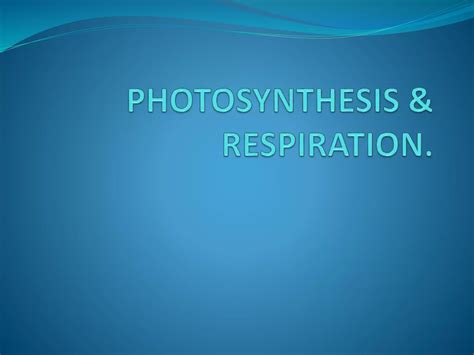 Photosynthesis And Respiration Ppt