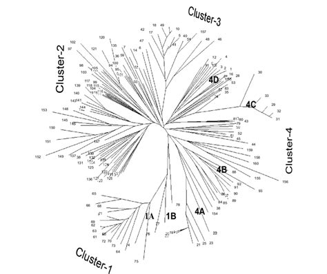 Phylogenetic Relationships Among 160 Varieties Derived From Un Rooted Download Scientific