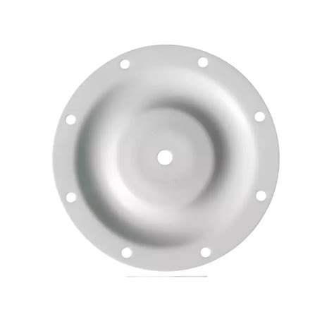 Aro Spare Parts 93459 4 Aro Diaphragm For Aodd Diaphragm Pumps Buy